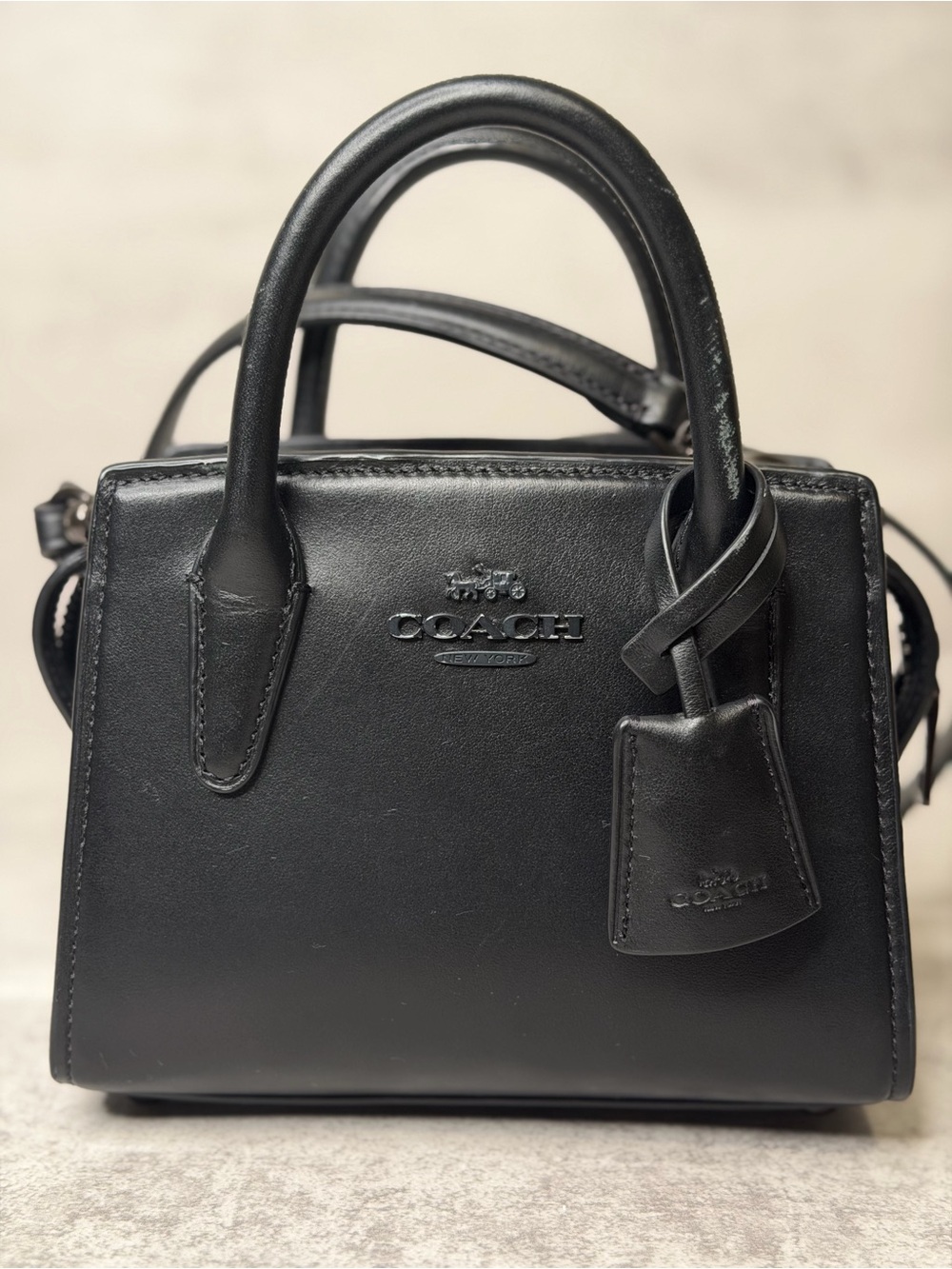 Coach Andrea Mini Carryall | Black